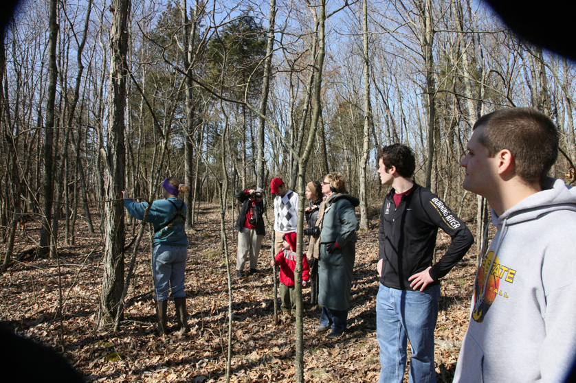 Full Size Image = 7048 K