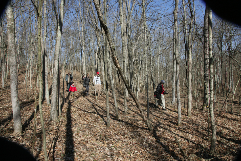 Full Size Image = 7517 K