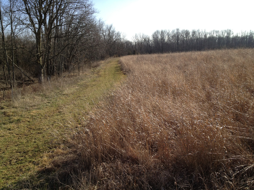 Full Size Image = 8119 K