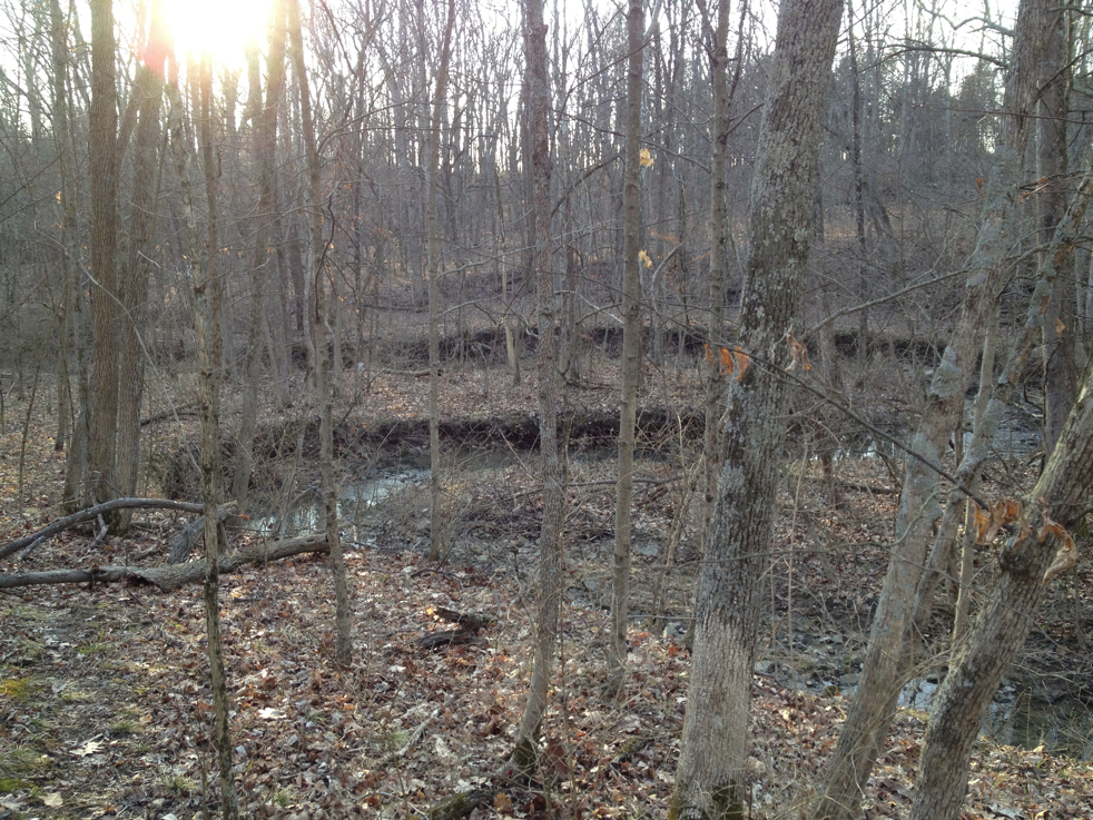 Full Size Image = 7890 K