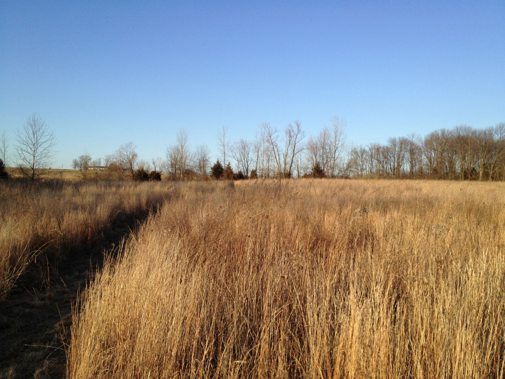 Full Size Image = 7134 K