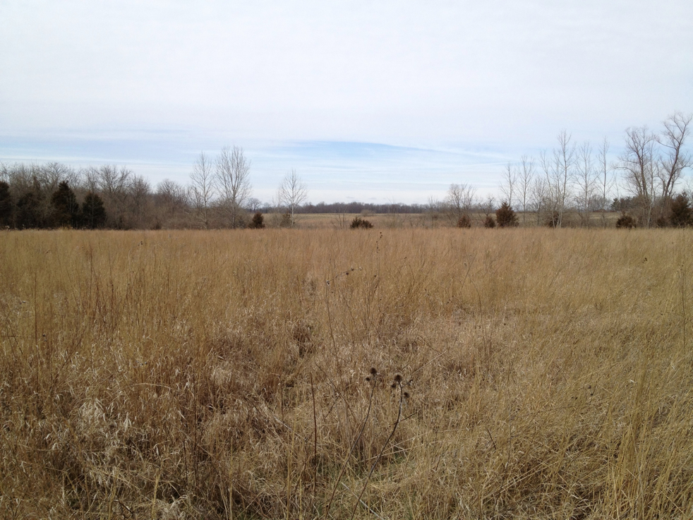 Full Size Image = 6101 K