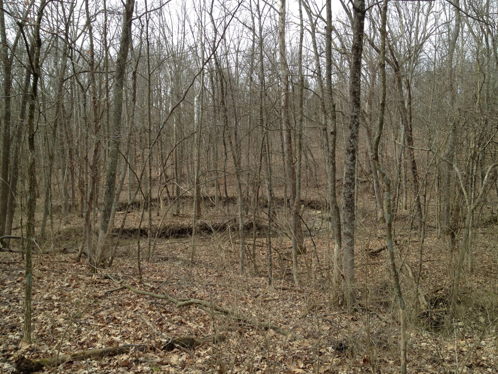 Full Size Image = 9056 K