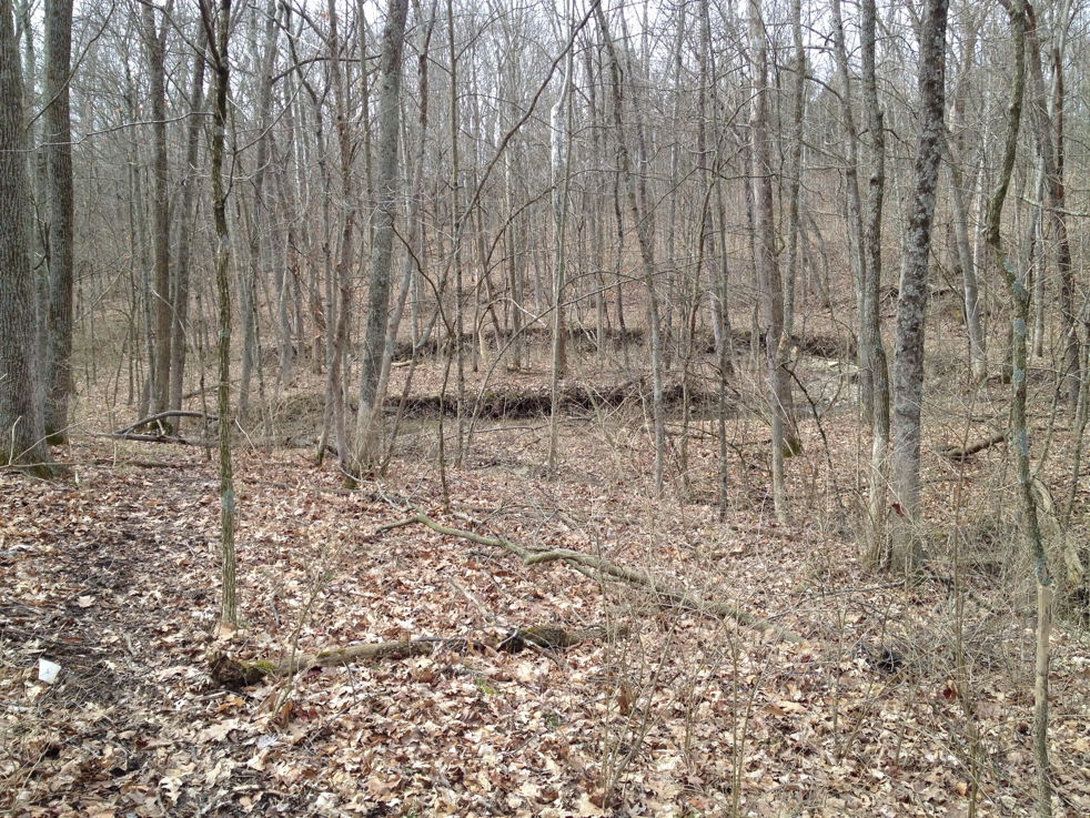 Full Size Image = 9025 K