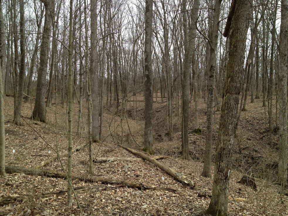 Full Size Image = 8975 K