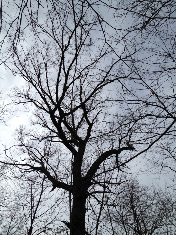 Full Size Image = 8002 K