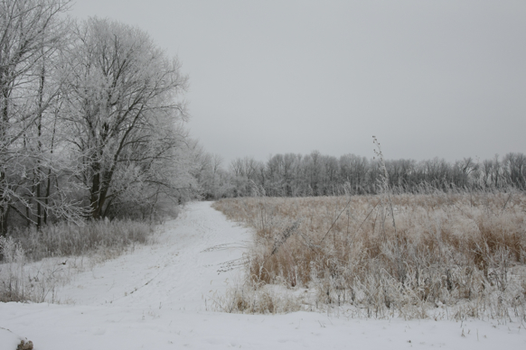 Full Size Image = 1864 K