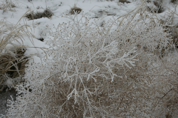 Full Size Image = 2254 K