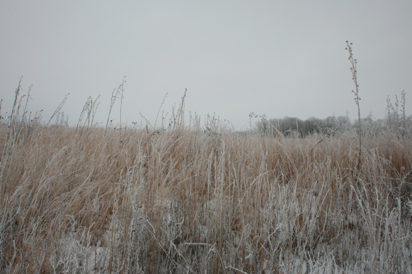 Full Size Image = 2149 K