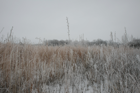 Full Size Image = 2128 K