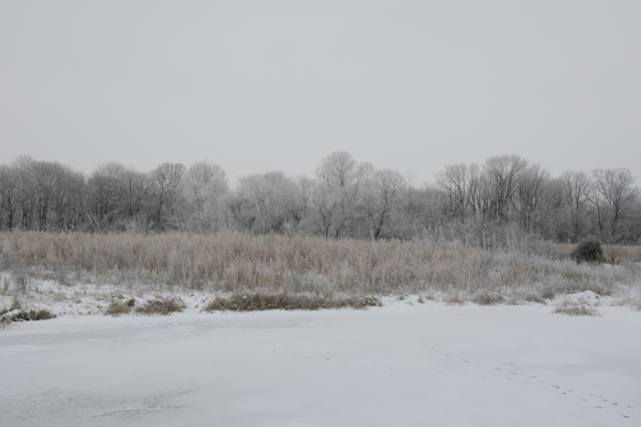 Full Size Image = 1322 K