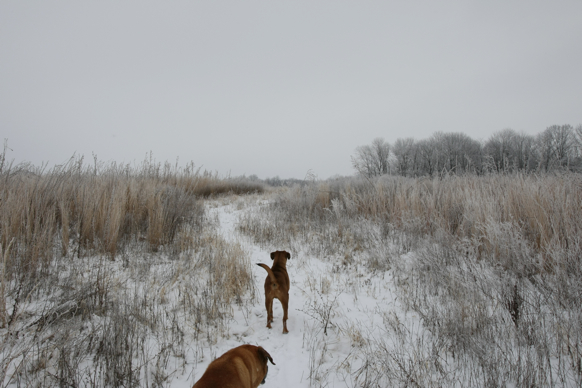 Full Size Image = 2022 K