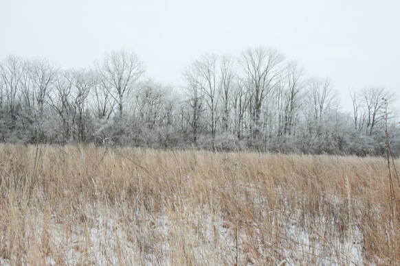 Full Size Image = 2768 K