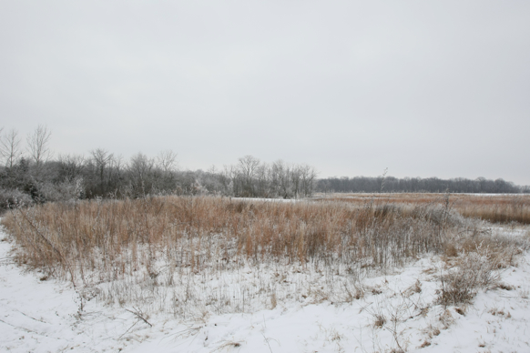 Full Size Image = 1757 K