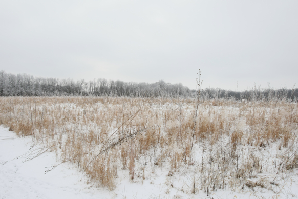 Full Size Image = 1999 K