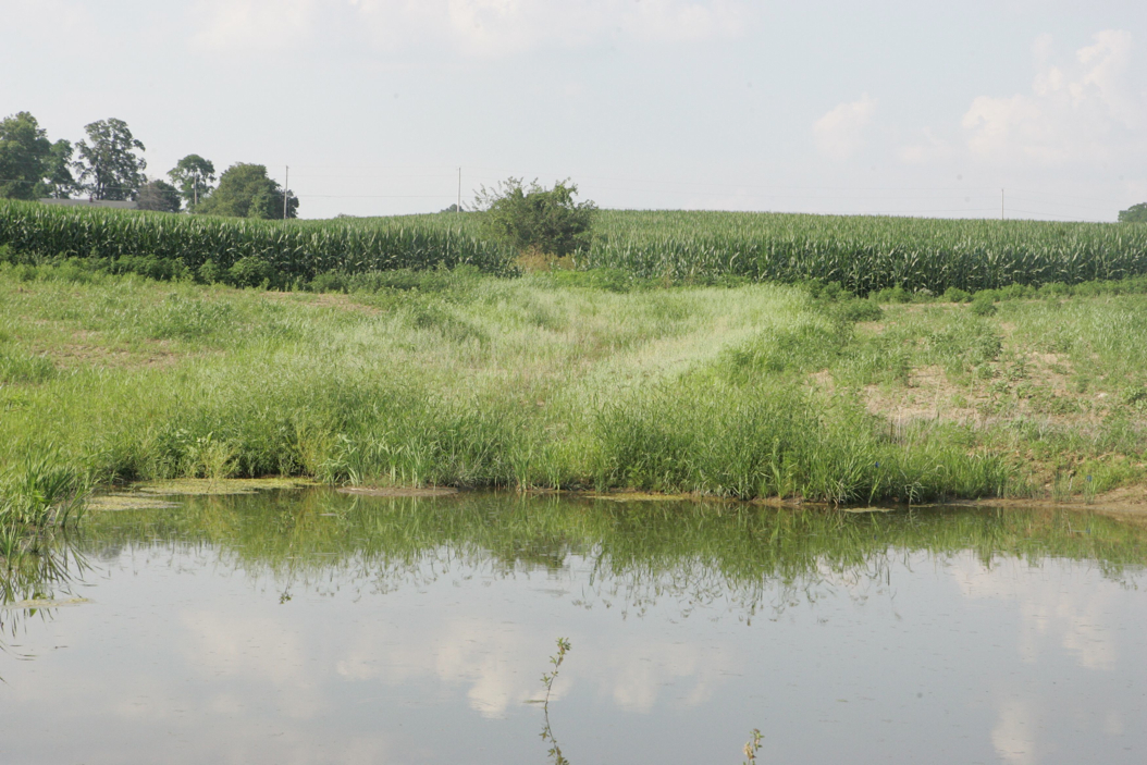 Full Size Image = 1025 K