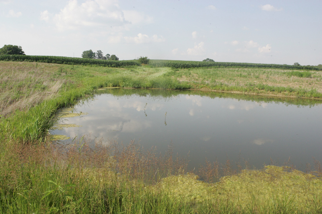 Full Size Image = 954 K