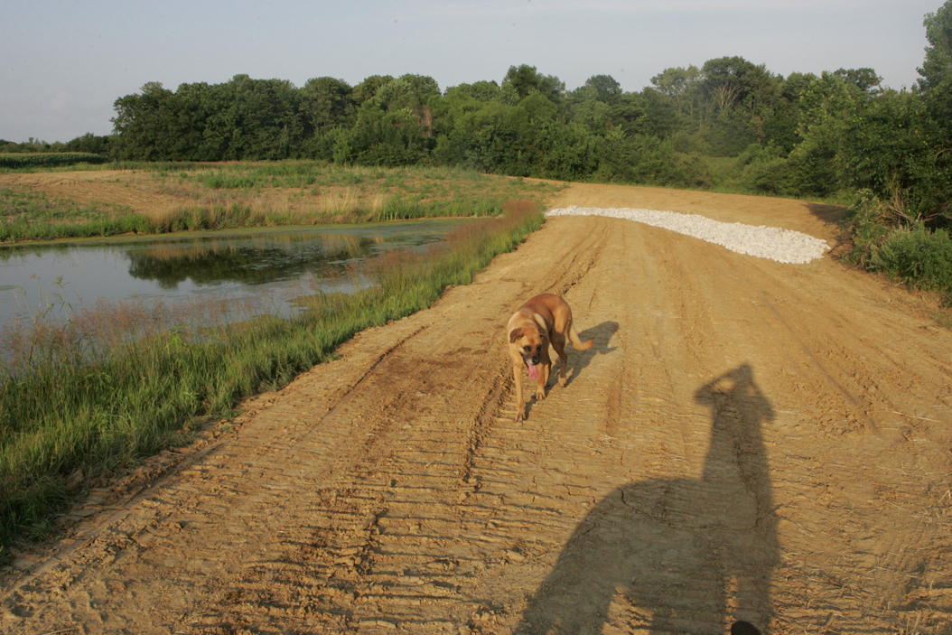 Full Size Image = 1254 K