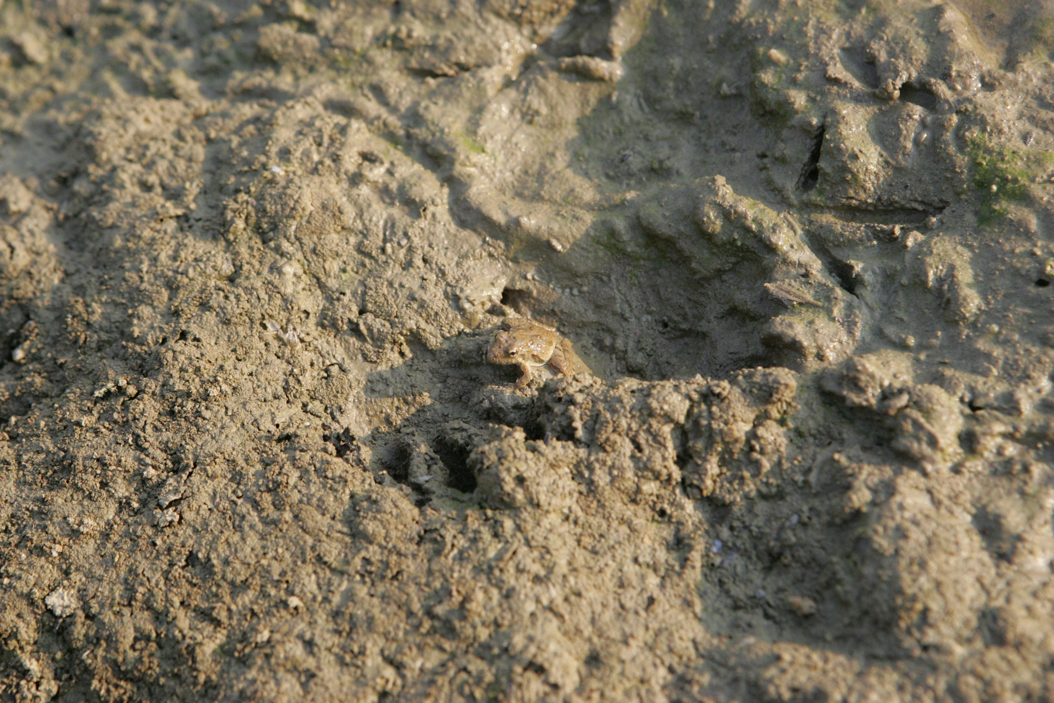 Full Size Image = 1123 K