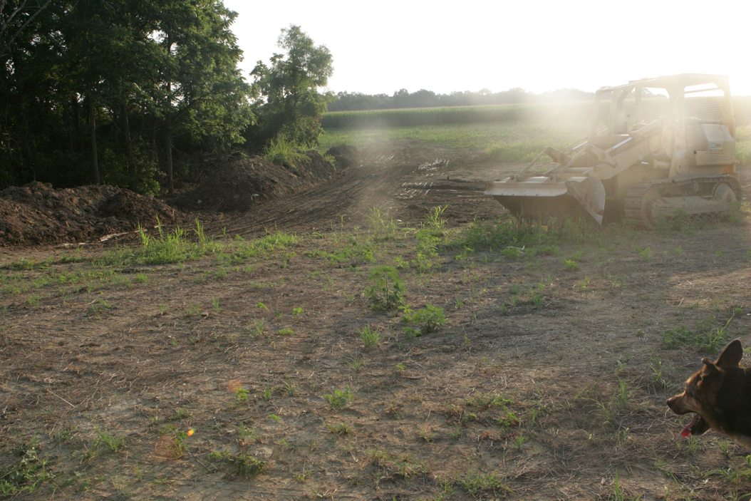 Full Size Image = 1219 K