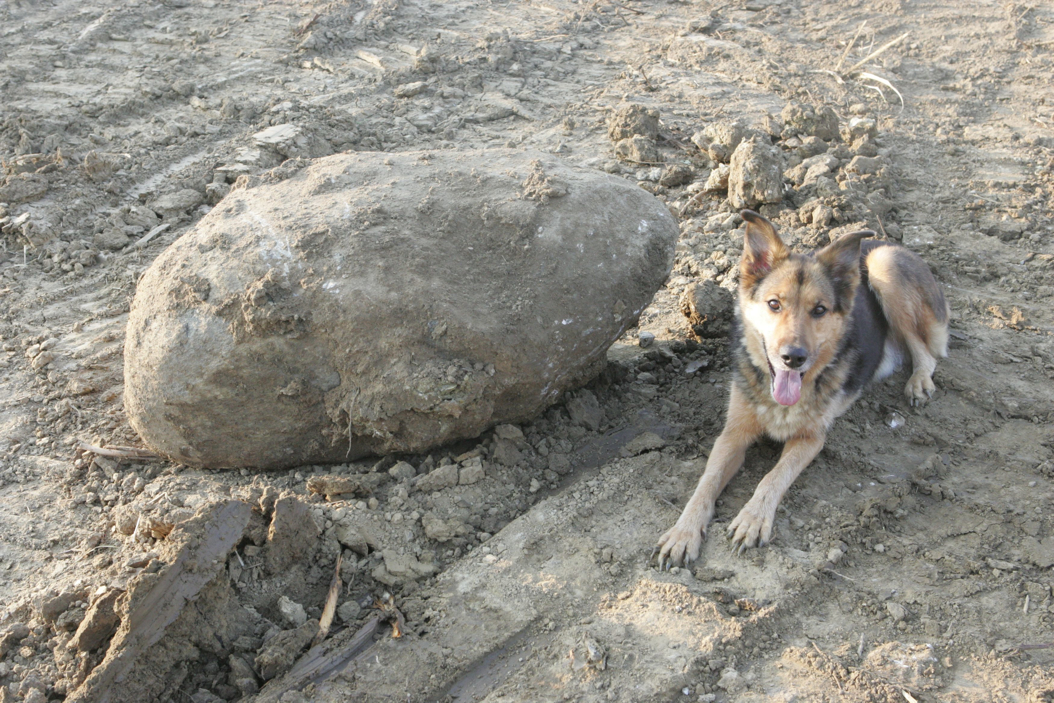 Full Size Image = 1465 K