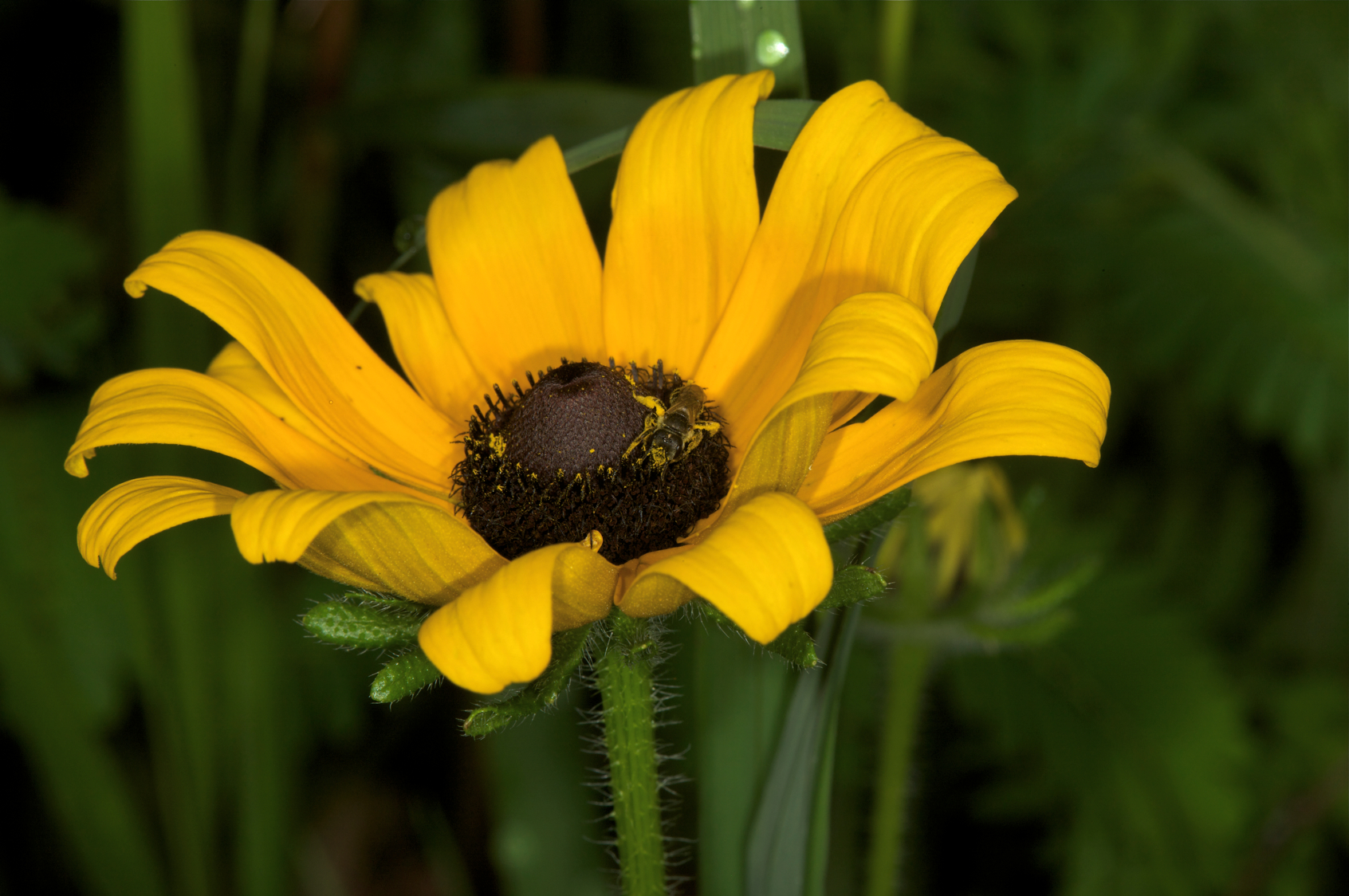 Full Size Image = 18638 K