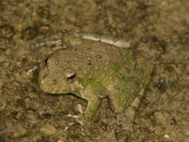 Full Size Image = 3774 K