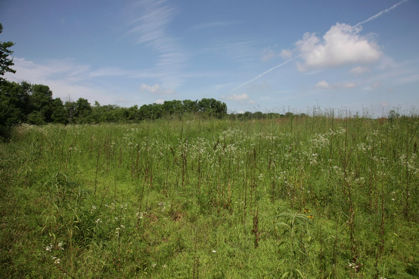 Full Size Image = 1125 K