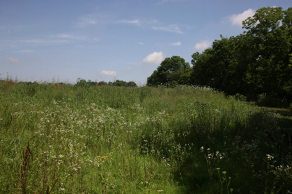 Full Size Image = 992 K