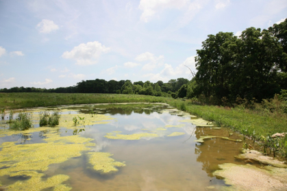 Full Size Image = 865 K