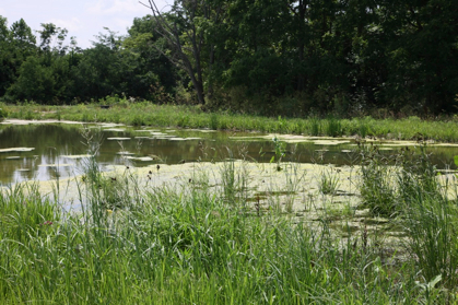 Full Size Image = 1382 K