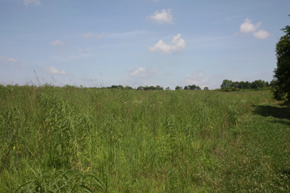 Full Size Image = 1031 K