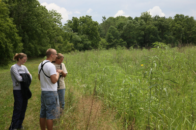 Full Size Image = 1571 K