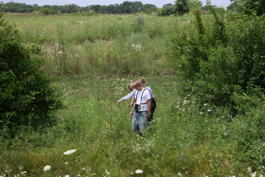 Full Size Image = 1845 K