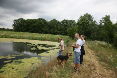 Full Size Image = 1322 K