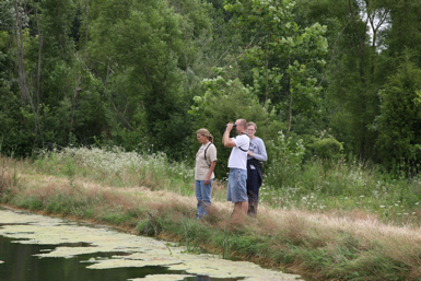 Full Size Image = 1678 K