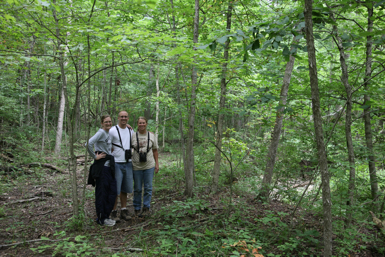 Full Size Image = 1024 K