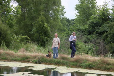 Full Size Image = 1872 K