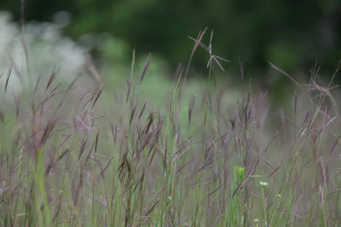 Full Size Image = 1024 K