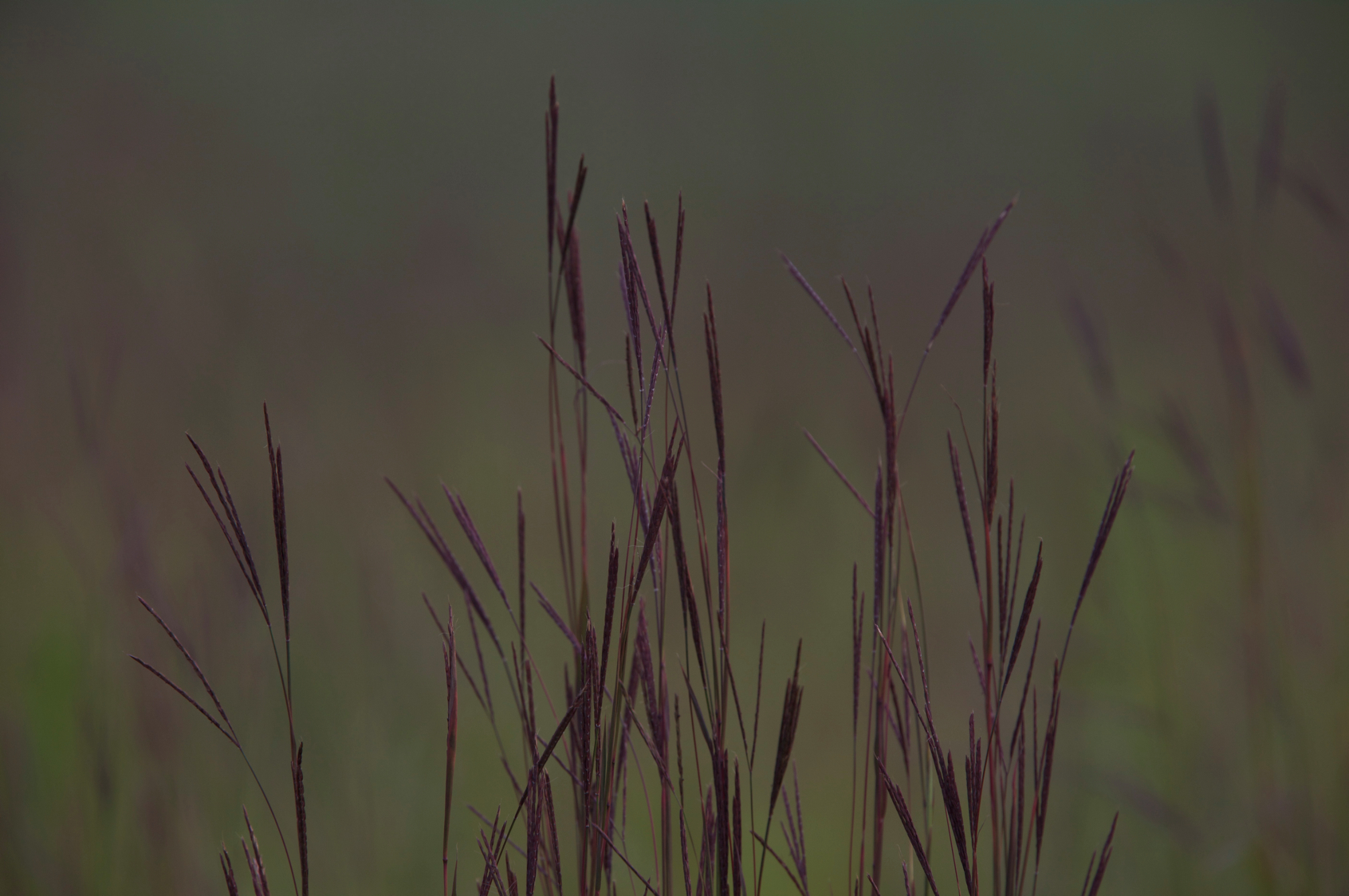 Full Size Image = 7718 K