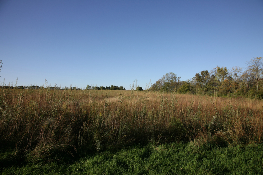 Full Size Image = 1579 K