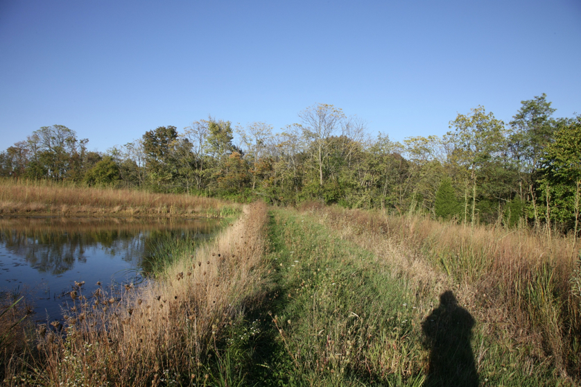 Full Size Image = 1997 K