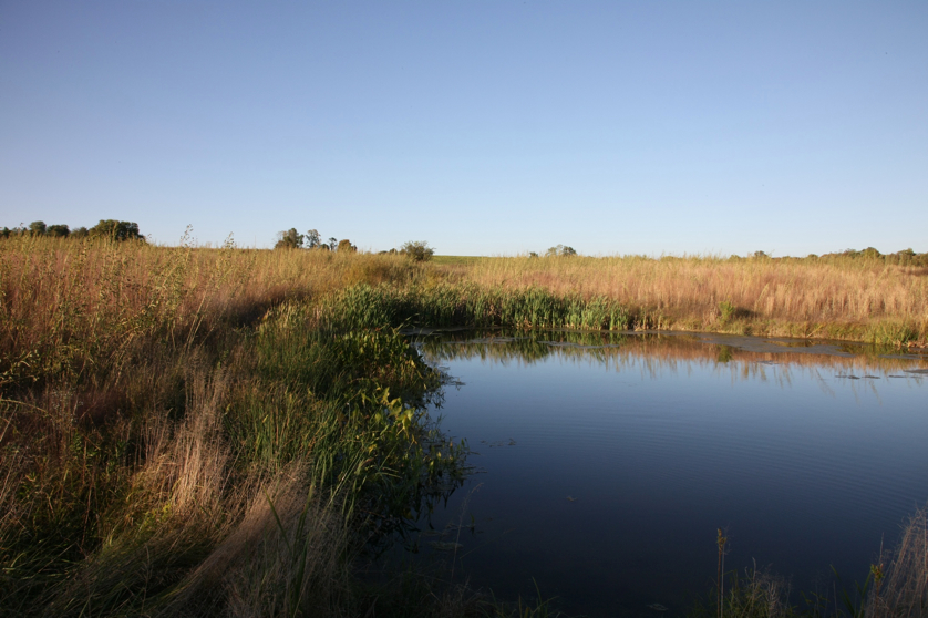 Full Size Image = 1138 K