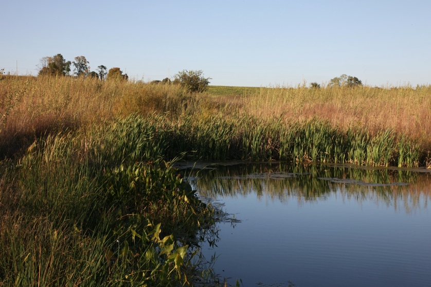 Full Size Image = 1536 K