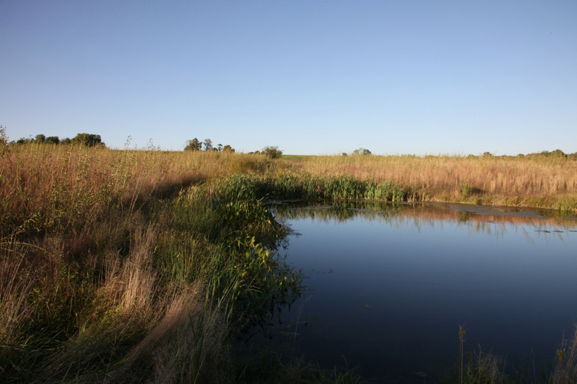 Full Size Image = 1159 K