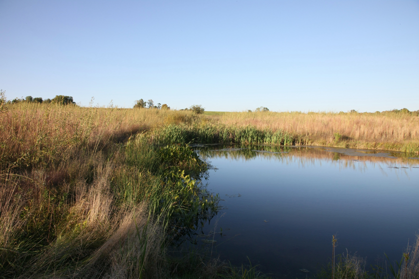 Full Size Image = 1279 K