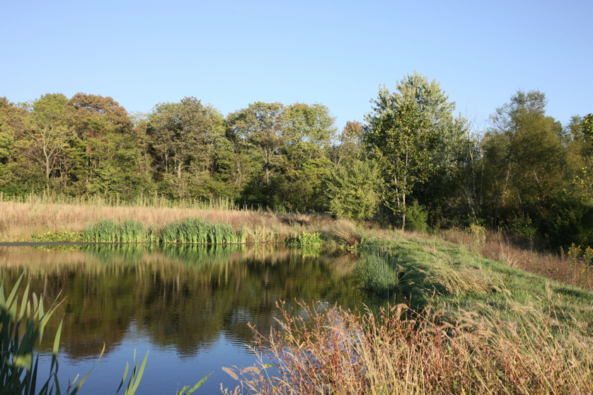 Full Size Image = 2012 K