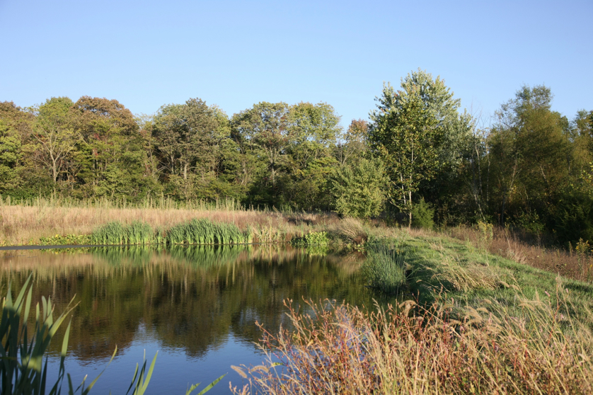 Full Size Image = 1969 K