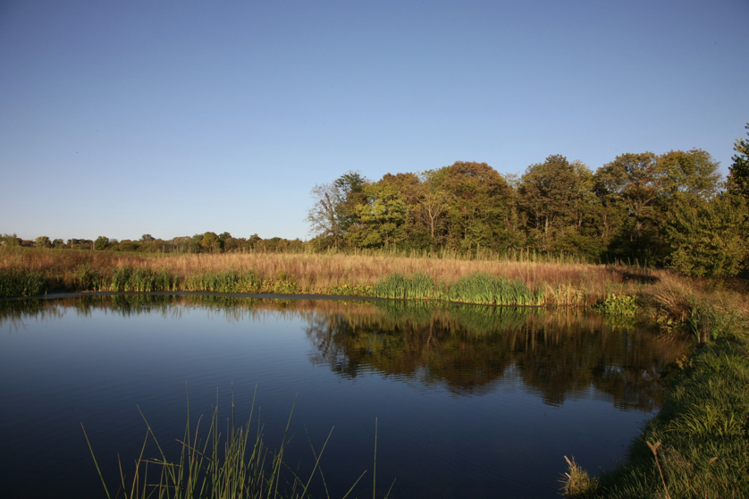 Full Size Image = 1205 K