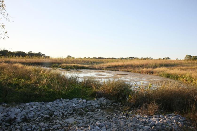 Full Size Image = 1354 K